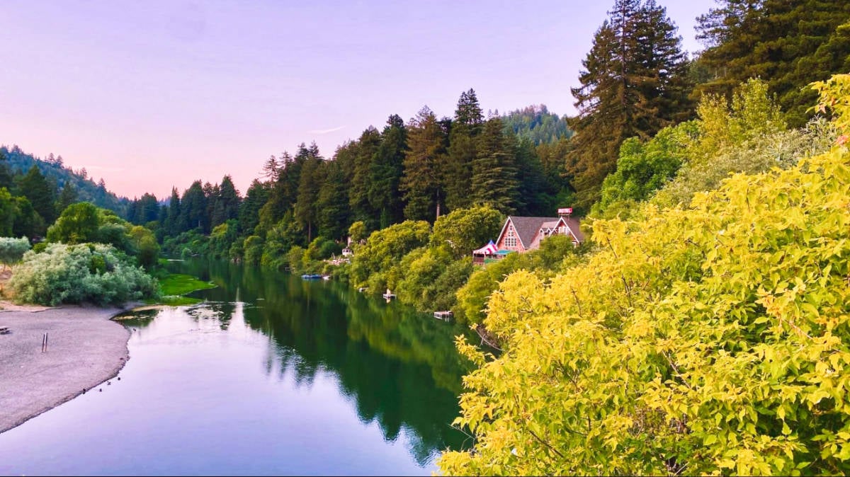 Collection of 20 Best Things to Do in Sonoma County (in 2023) in a gallery layout