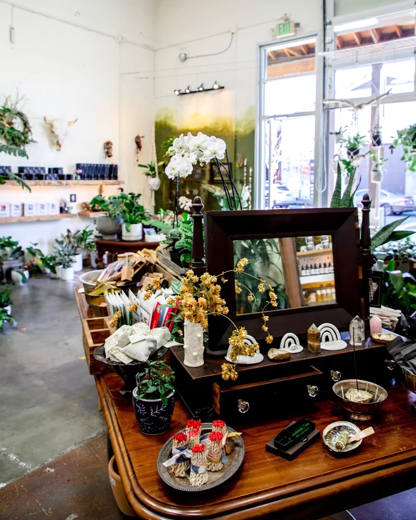 Image of This California City Is the Gateway to Wine Country and Redwood Forests