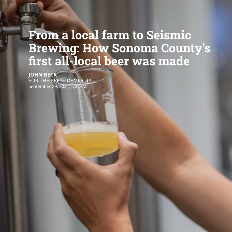 Collection of From a local farm to Seismic Brewing: How Sonoma County's first all-local beer was made in a gallery layout