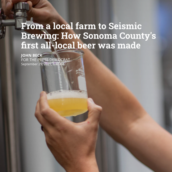 From a local farm to Seismic Brewing: How Sonoma County's first all-local beer was made