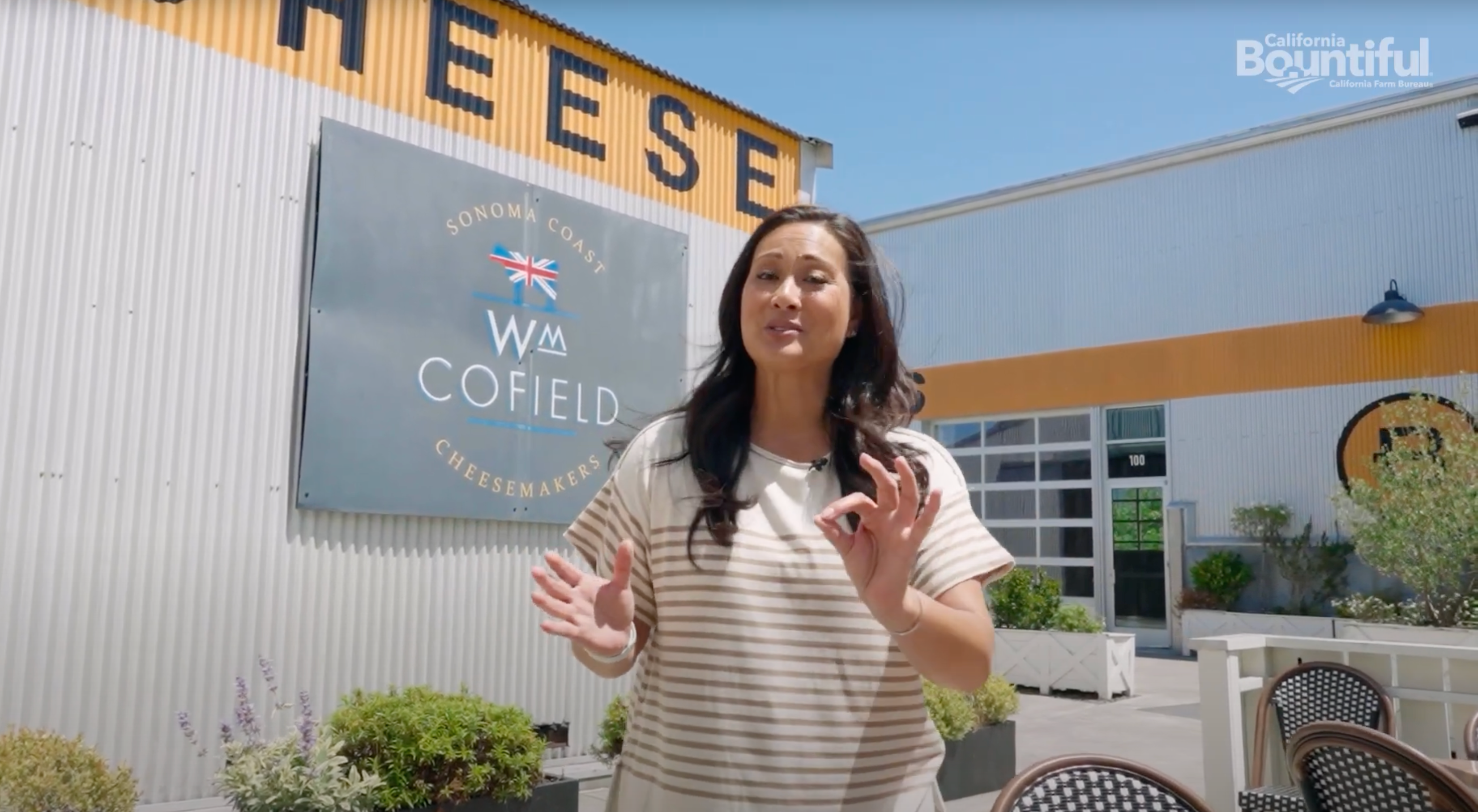 Collection of British style cheese from Sebastopol in a gallery layout