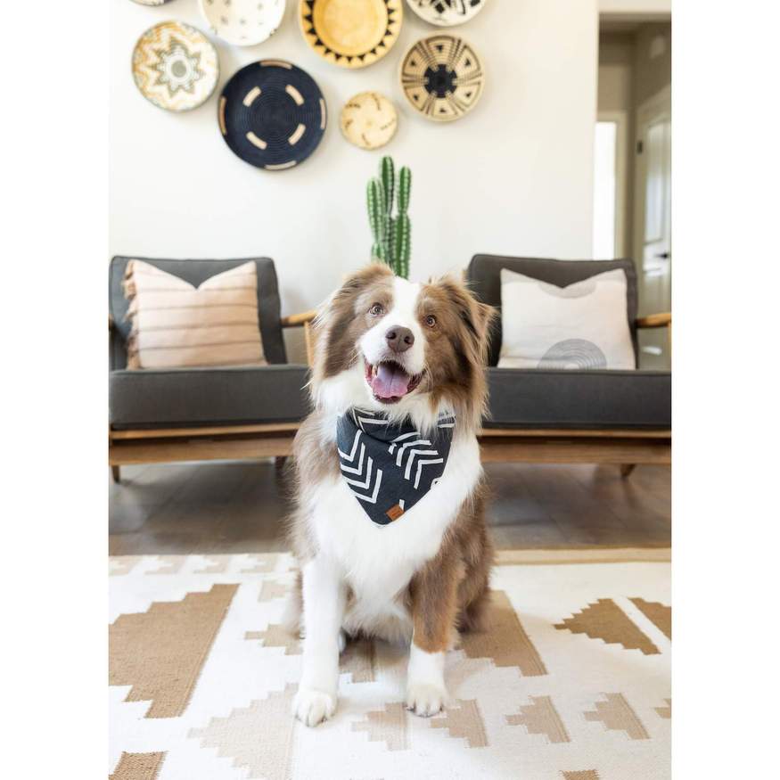 Modern Mud Cloth Black Dog Bandana